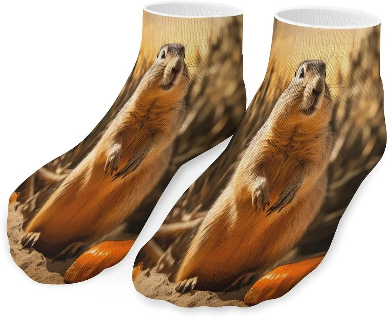Hand Drawn Groundhog Socks Low Cut Ankle Short Sock Novelty Casual Invisible Liner Socks for Men Women